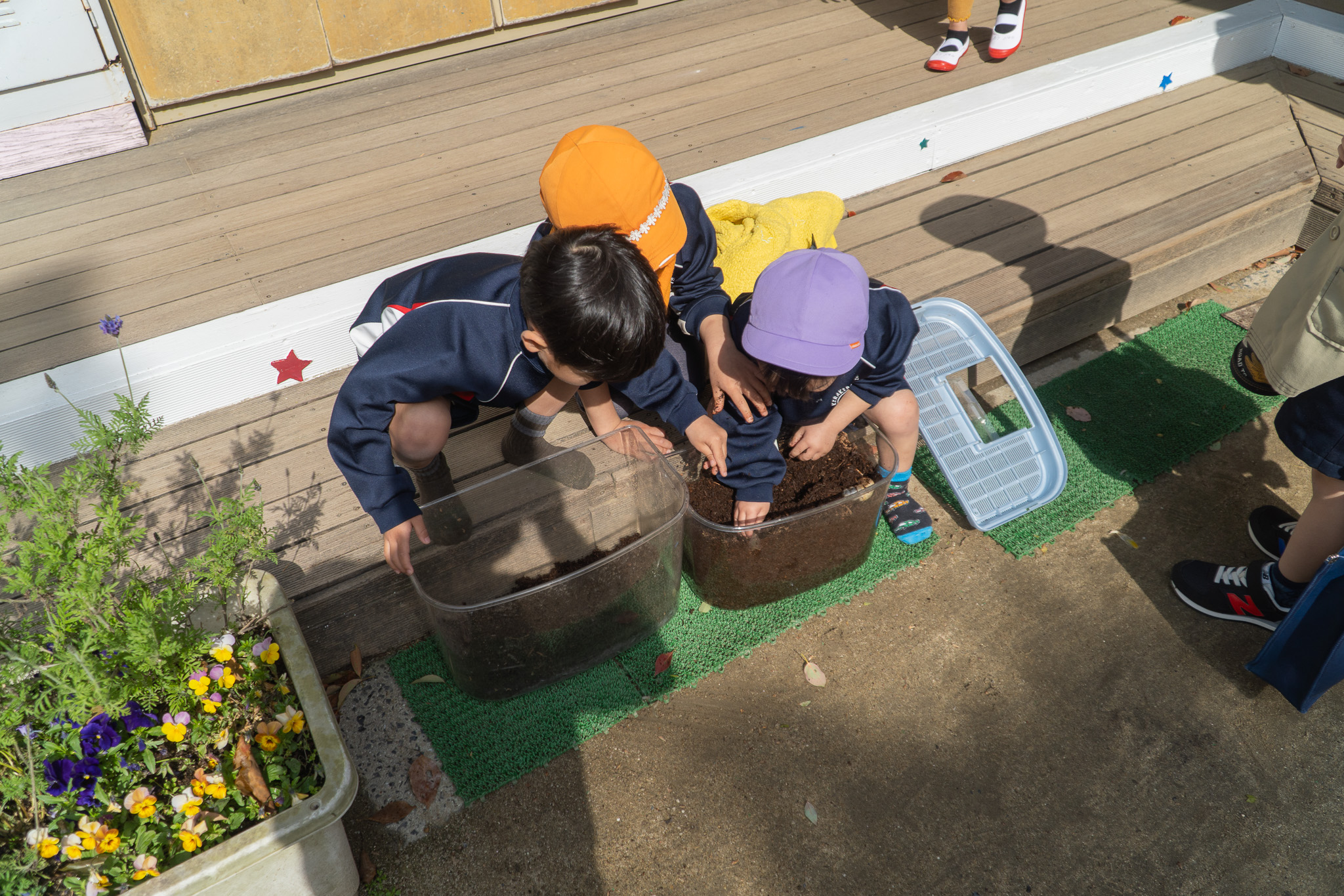 かぶとむしの幼虫の引越し1