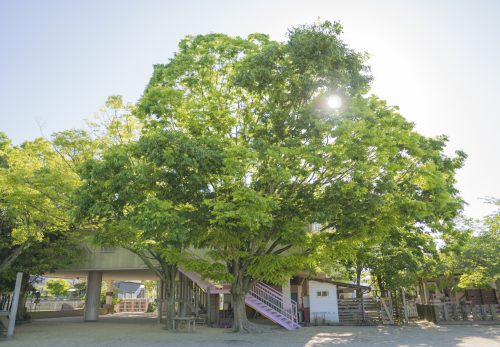 未就園児の皆様へ　今年度の園庭開放について